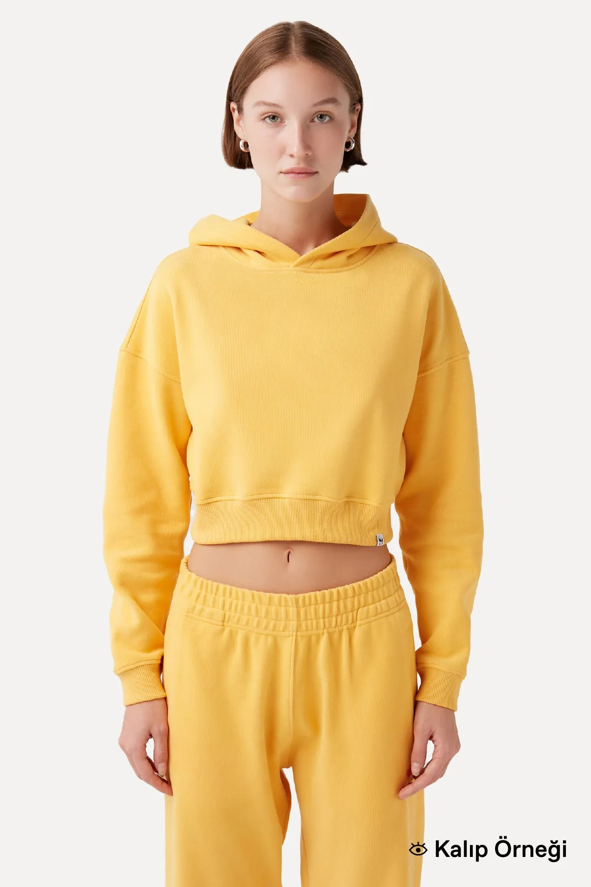 Sincap Super Soft Crop Hoodie - Sar